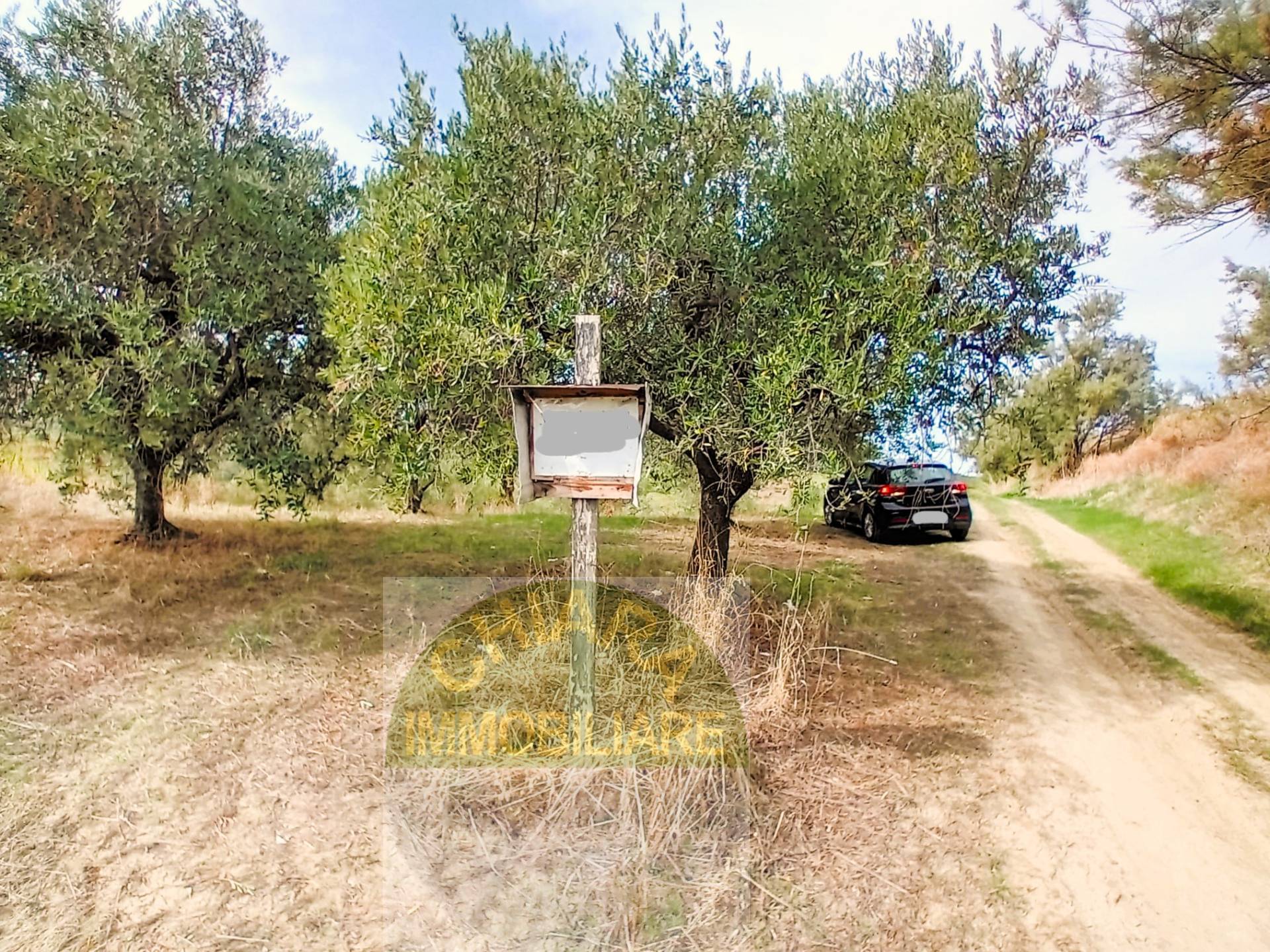 Terreno Agricolo in vendita a Cupello, Scosse