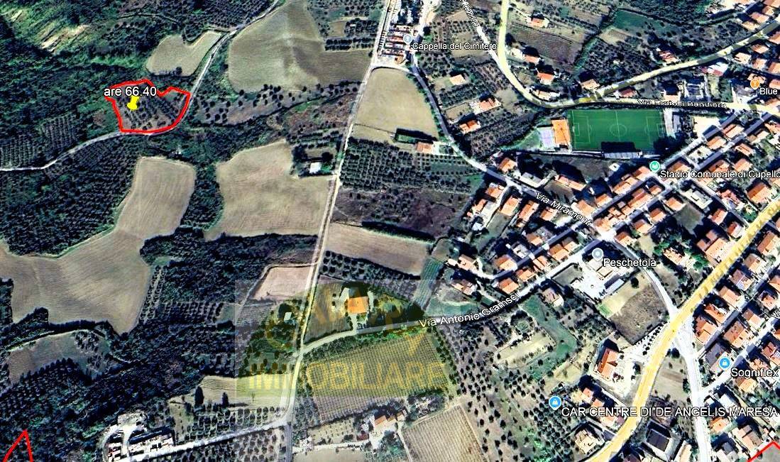 Terreno Agricolo in vendita a Cupello, Scosse