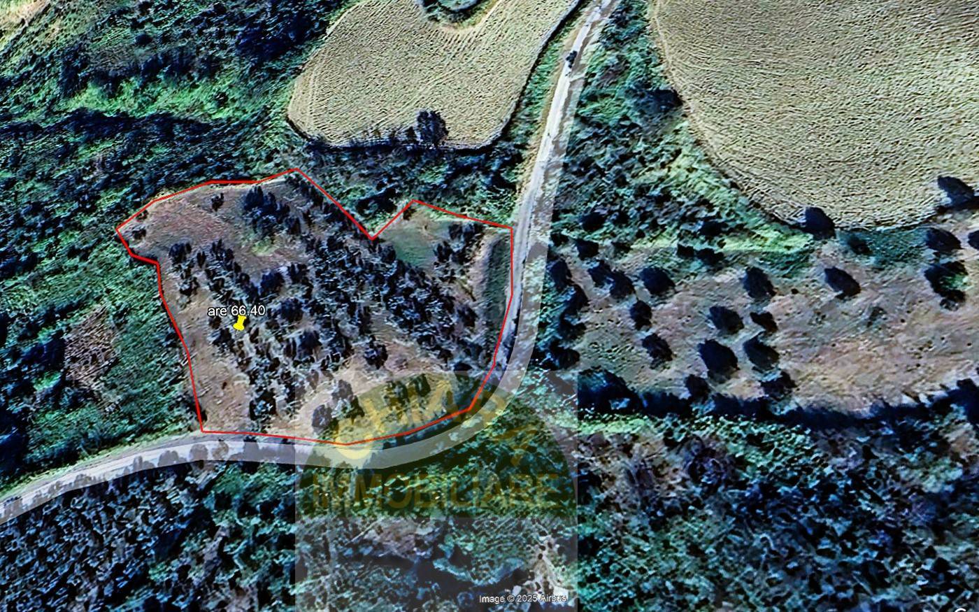 Terreno Agricolo in vendita a Cupello, Scosse