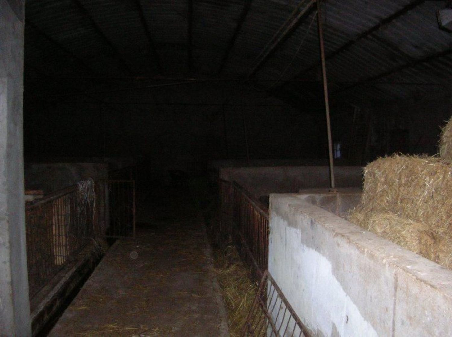 Locale commerciale in vendita a Carpineto Sinello