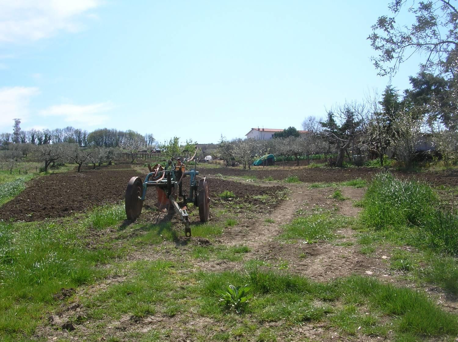 Terreno edificabile in vendita a Monteodorisio, Monteleforche