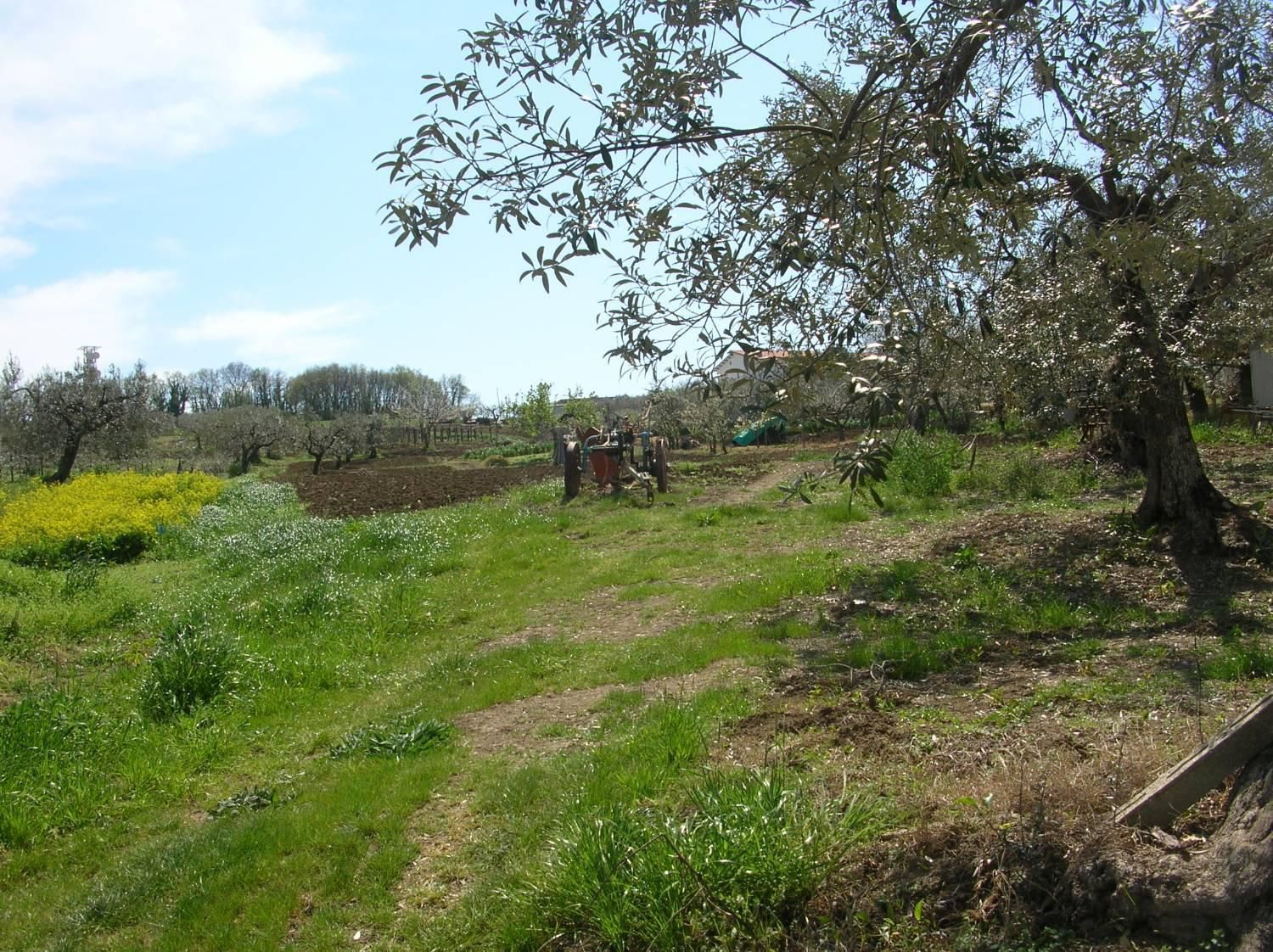 Terreno edificabile in vendita a Monteodorisio, Monteleforche