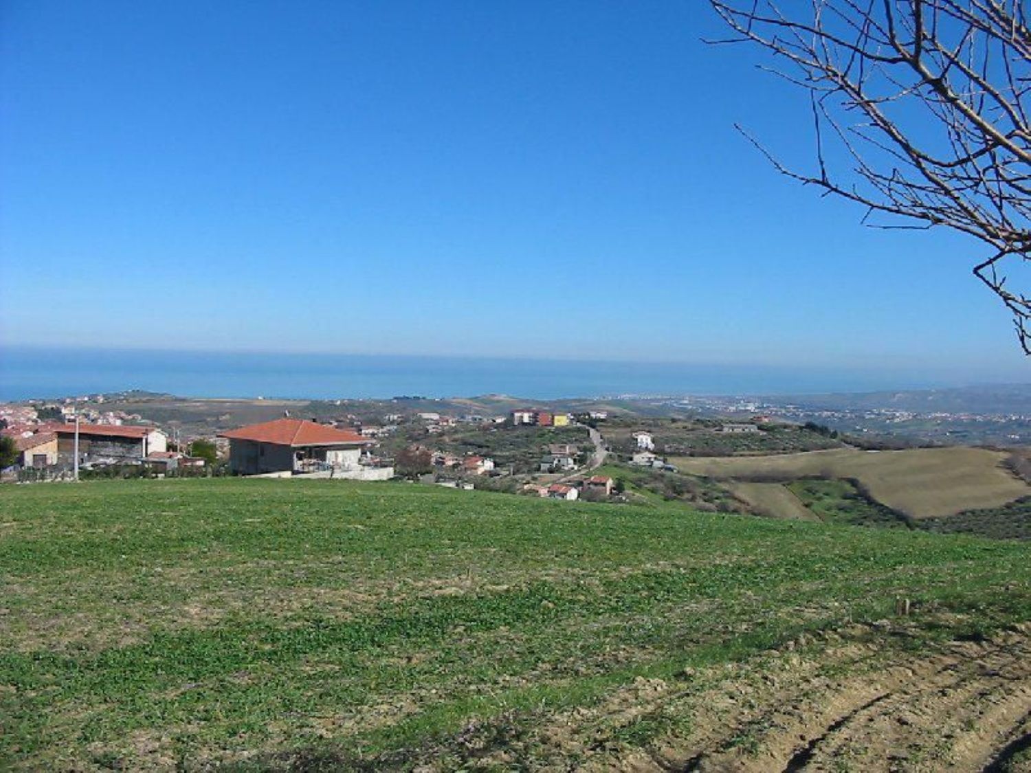 Terreno Agricolo in vendita a Cupello
