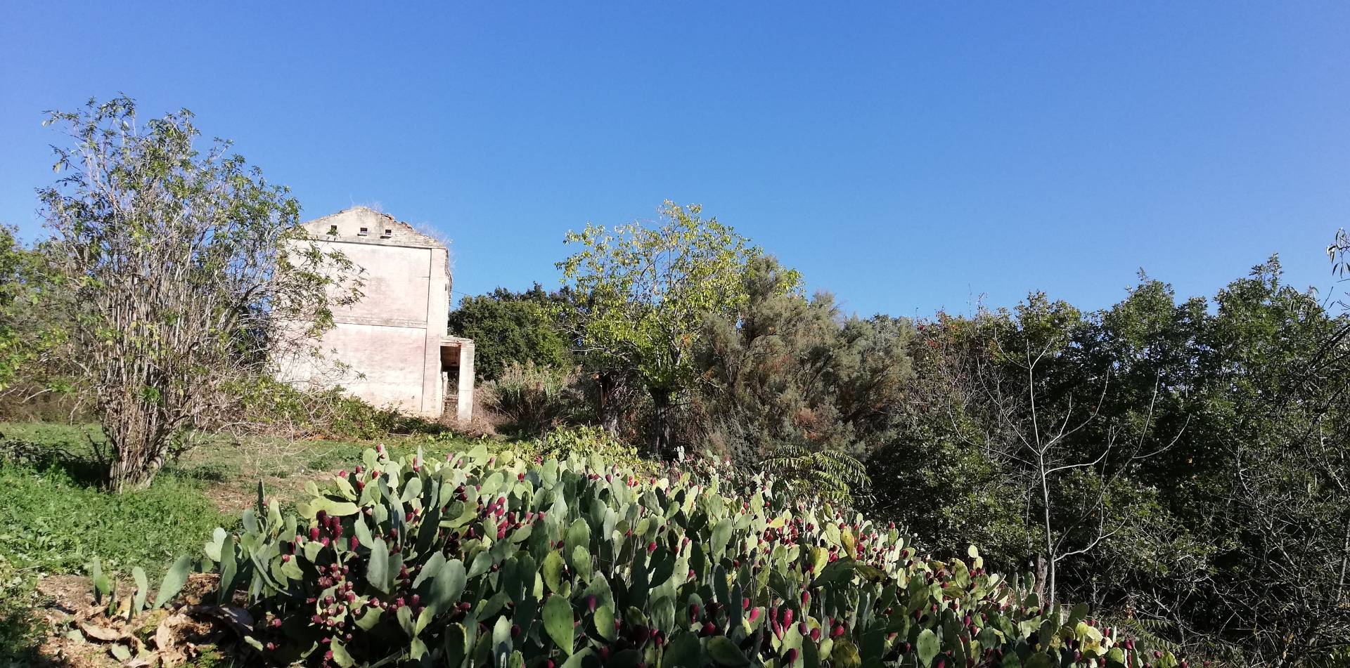 Rustico in vendita a Monteodorisio, Tratturo