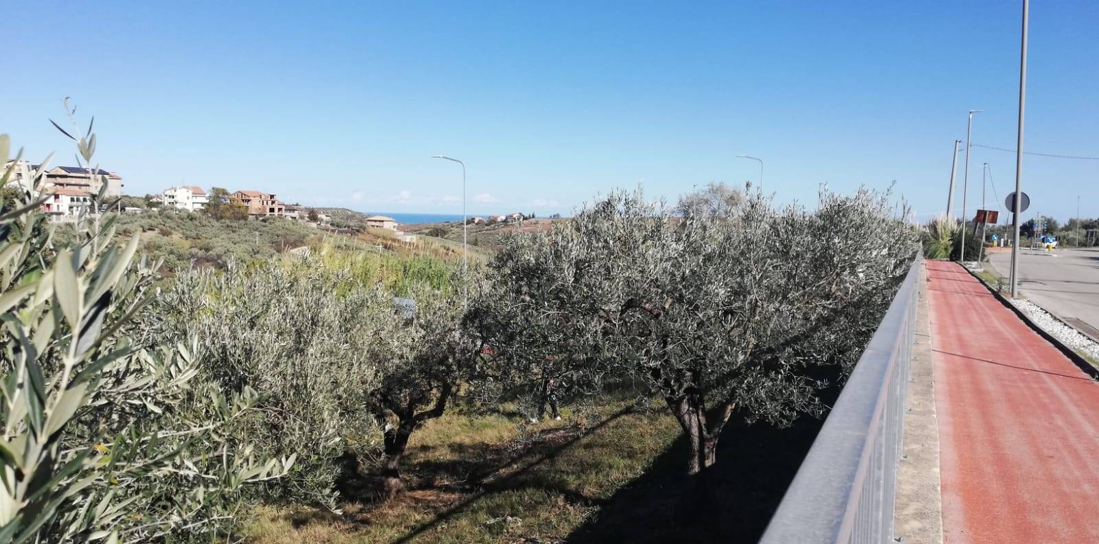 Terreno edificabile in vendita a Cupello