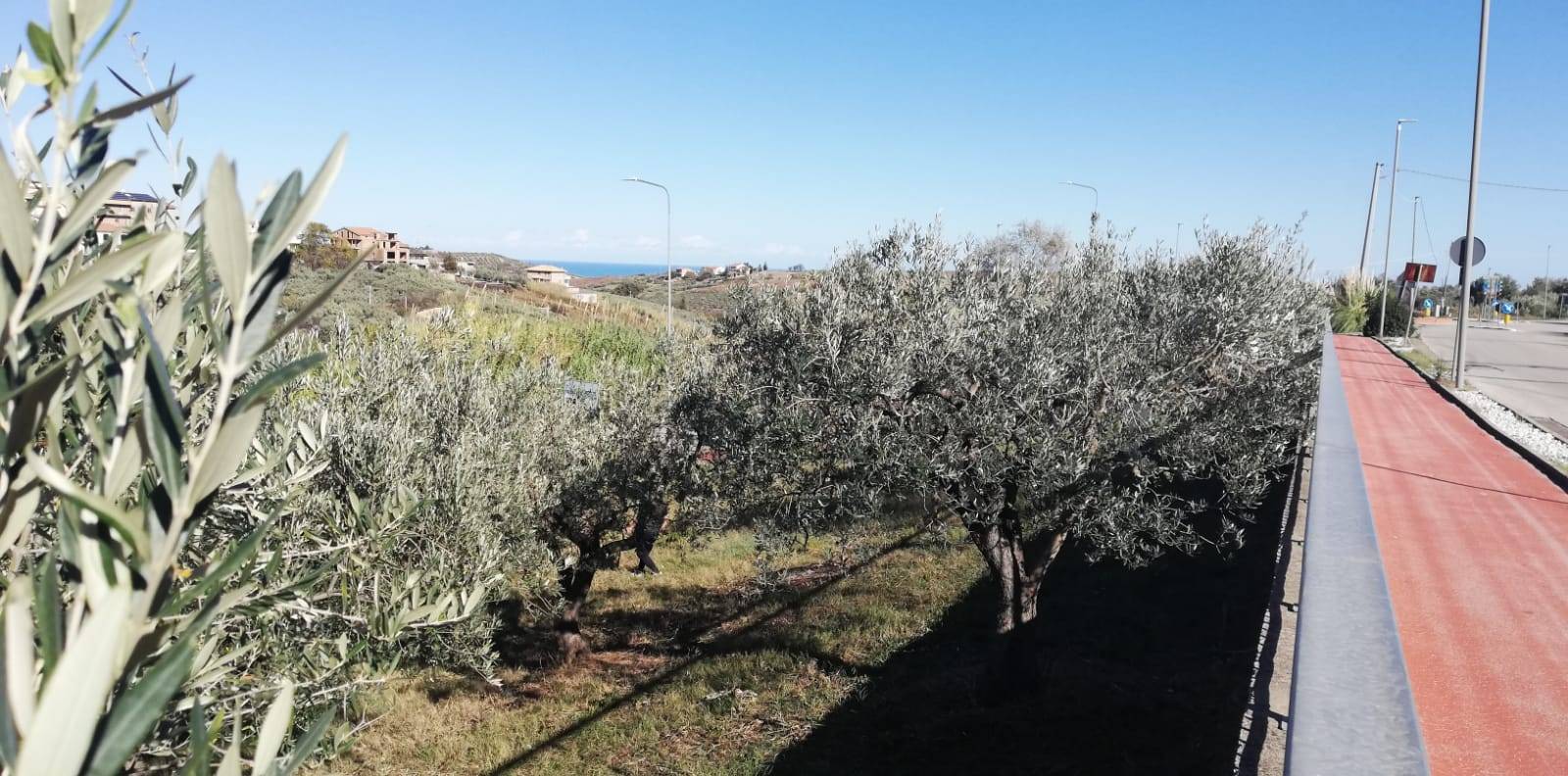 Terreno edificabile in vendita a Cupello