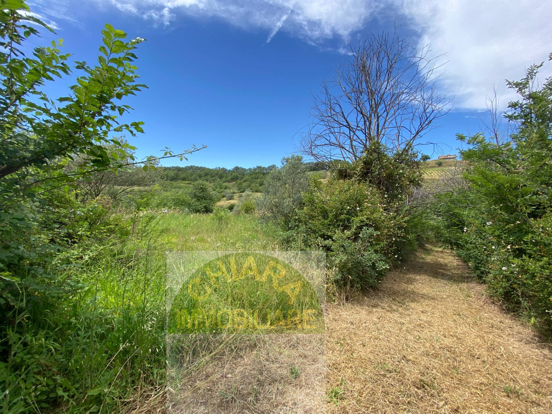 Rustico in vendita a Cupello, Strane