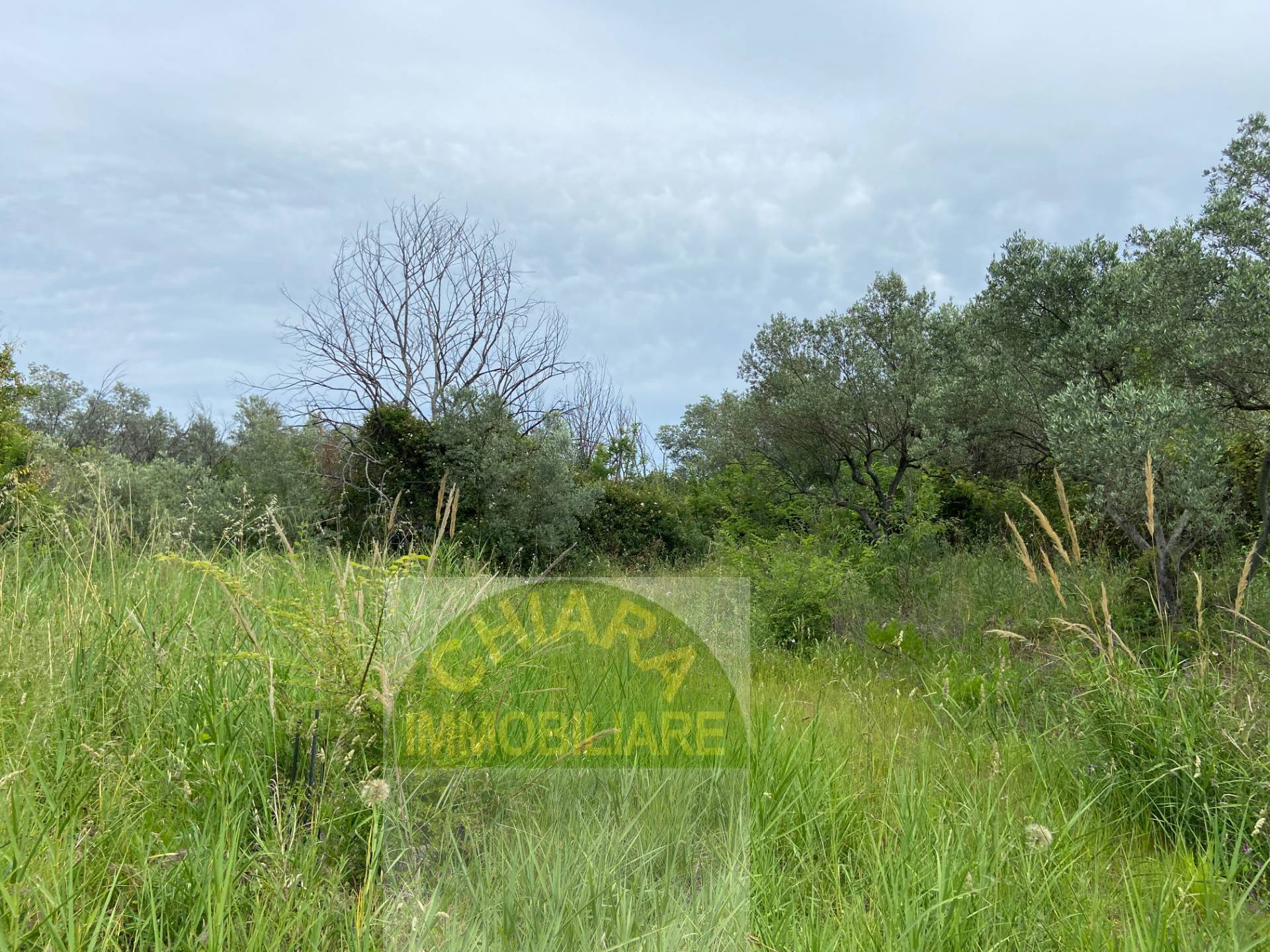 Rustico in vendita a Cupello, Strane