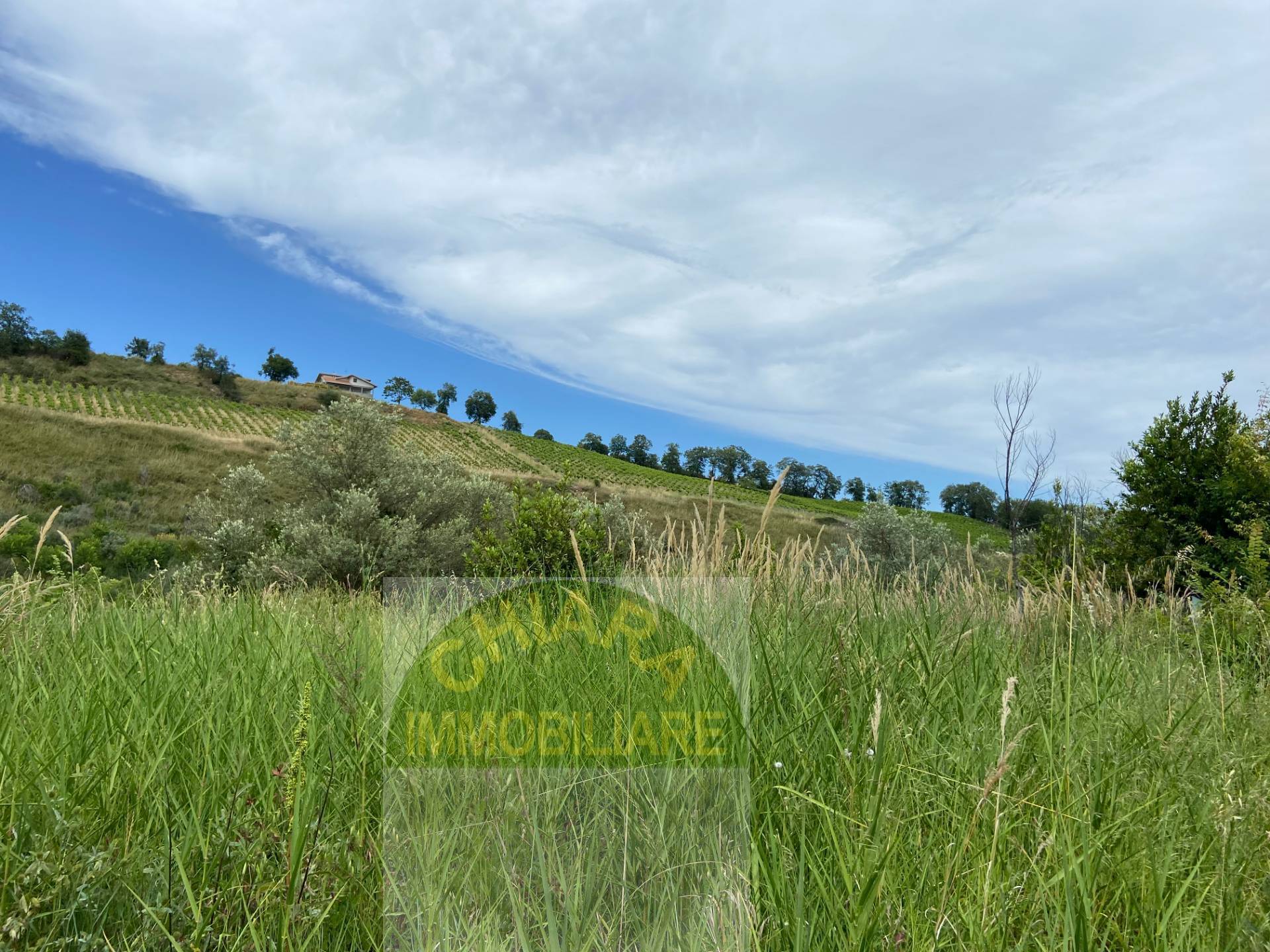 Rustico in vendita a Cupello, Strane