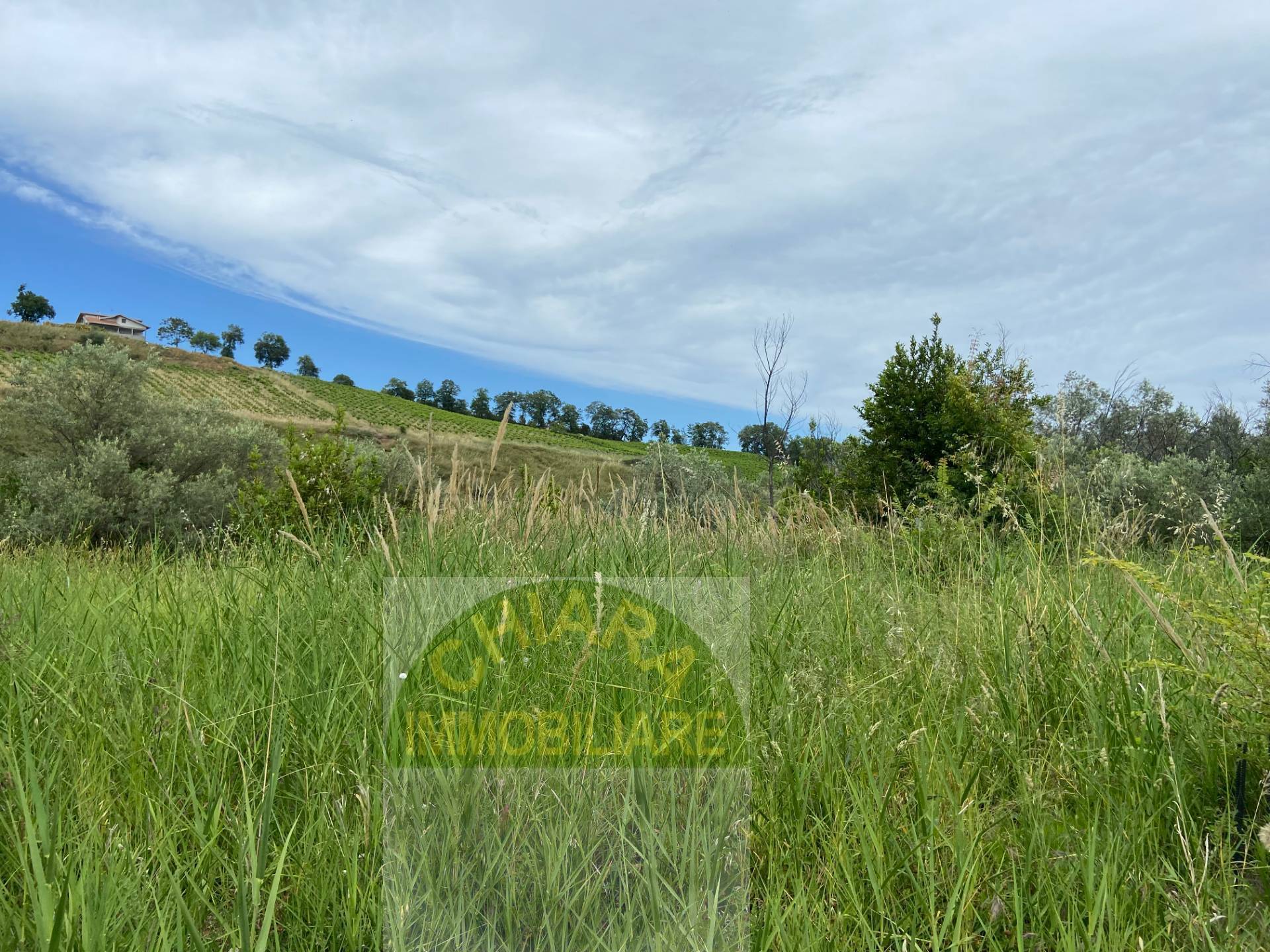 Rustico in vendita a Cupello, Strane