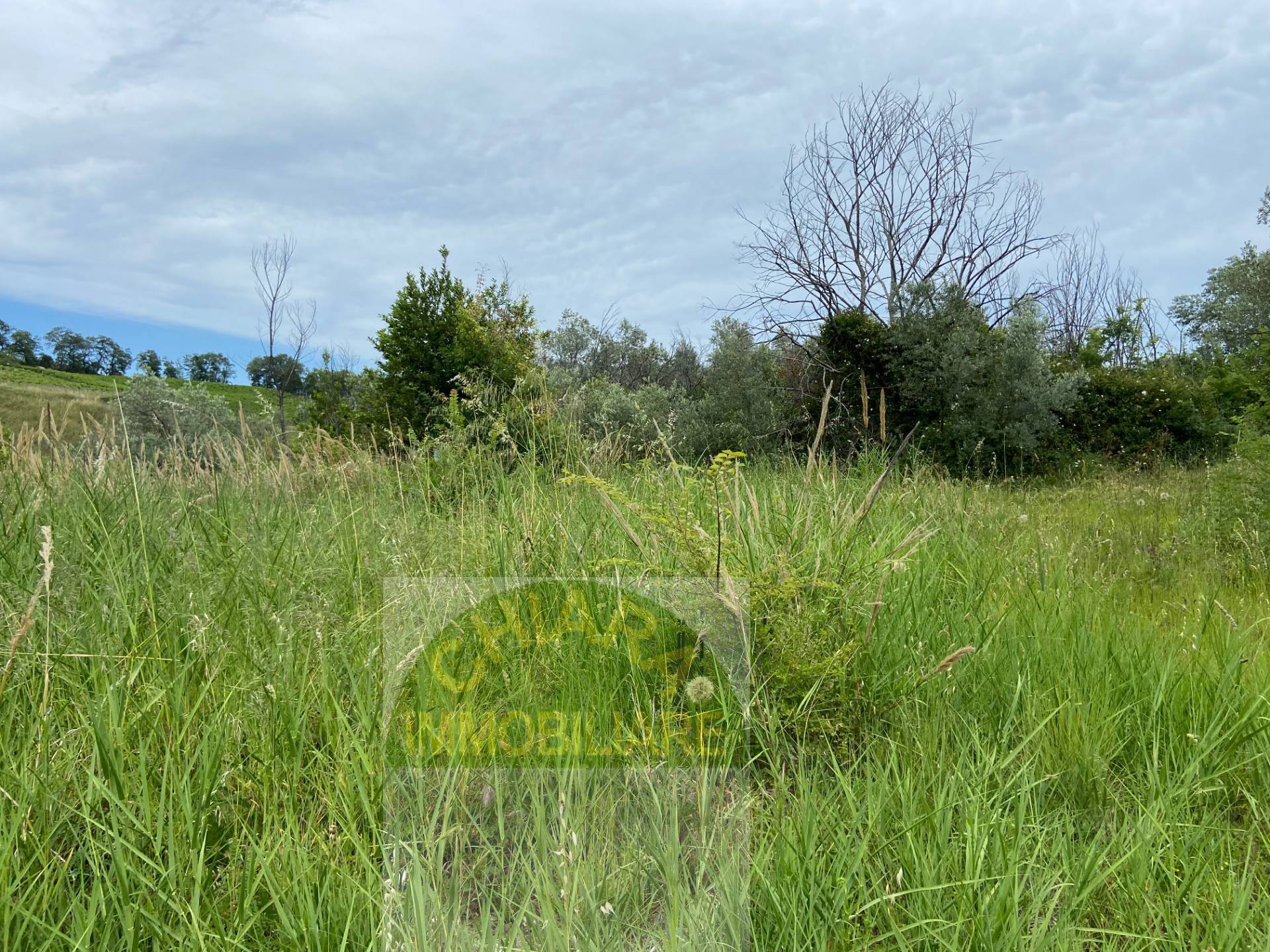 Rustico in vendita a Cupello, Strane