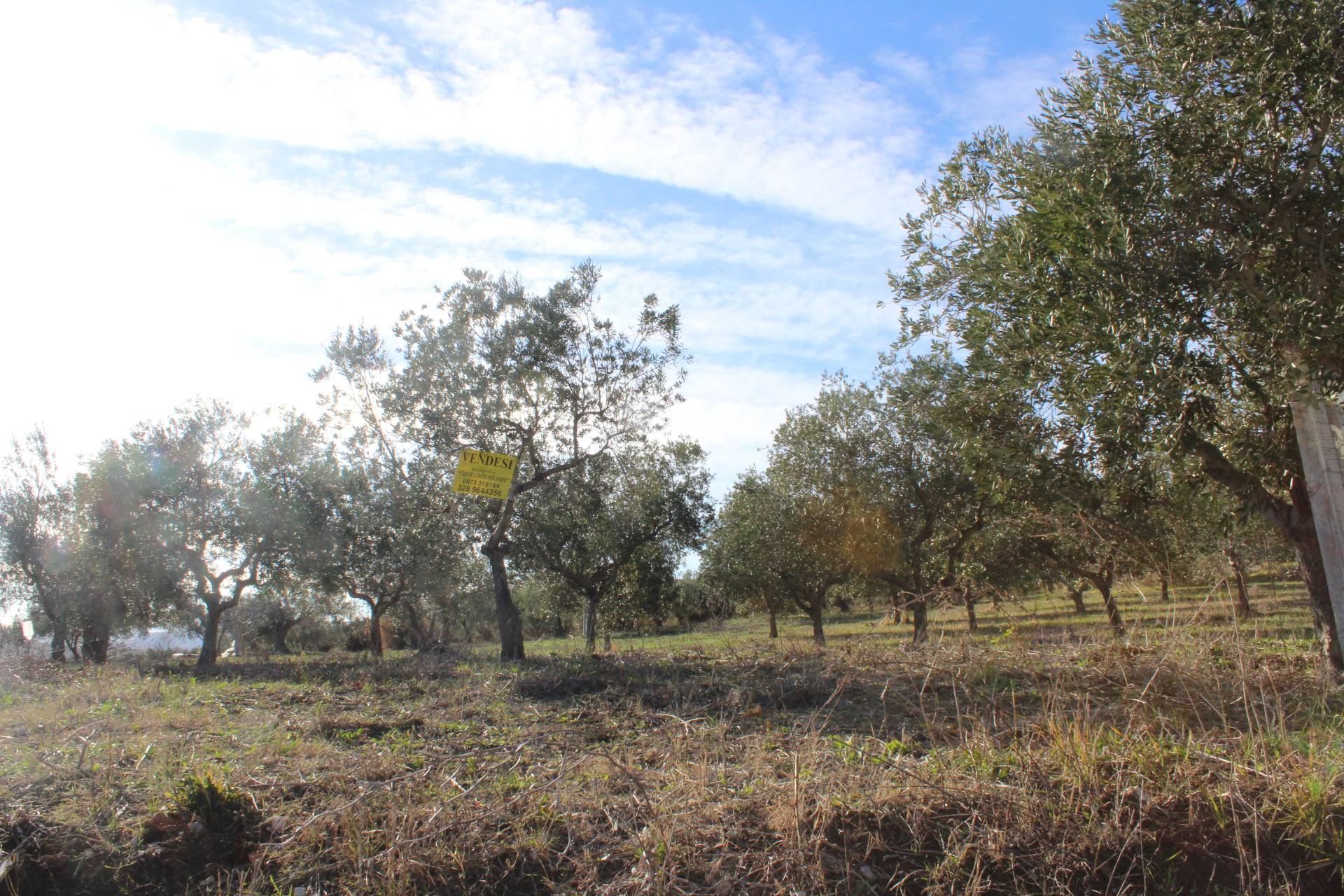 Terreno edificabile in vendita a Cupello