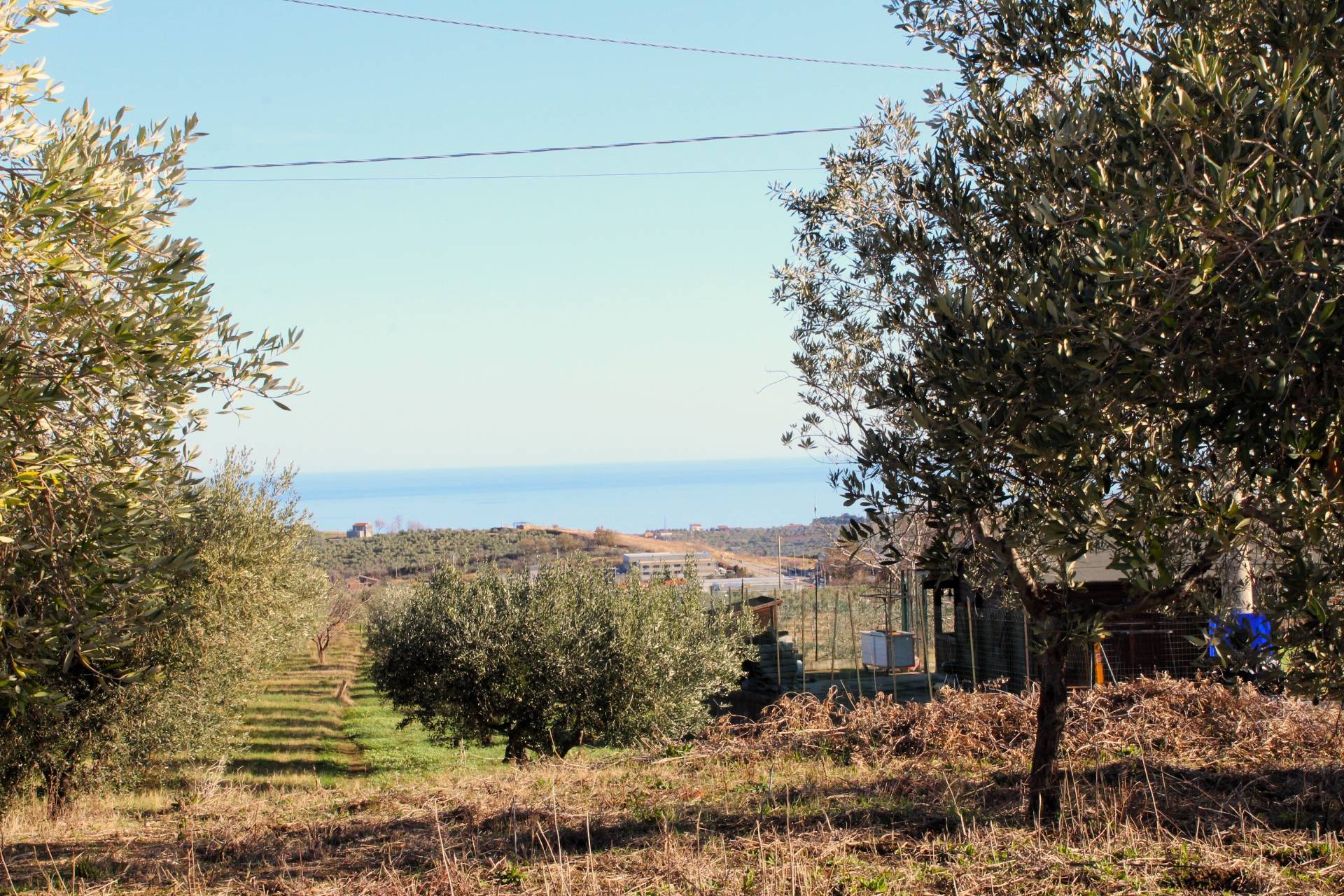 Terreno edificabile in vendita a Cupello