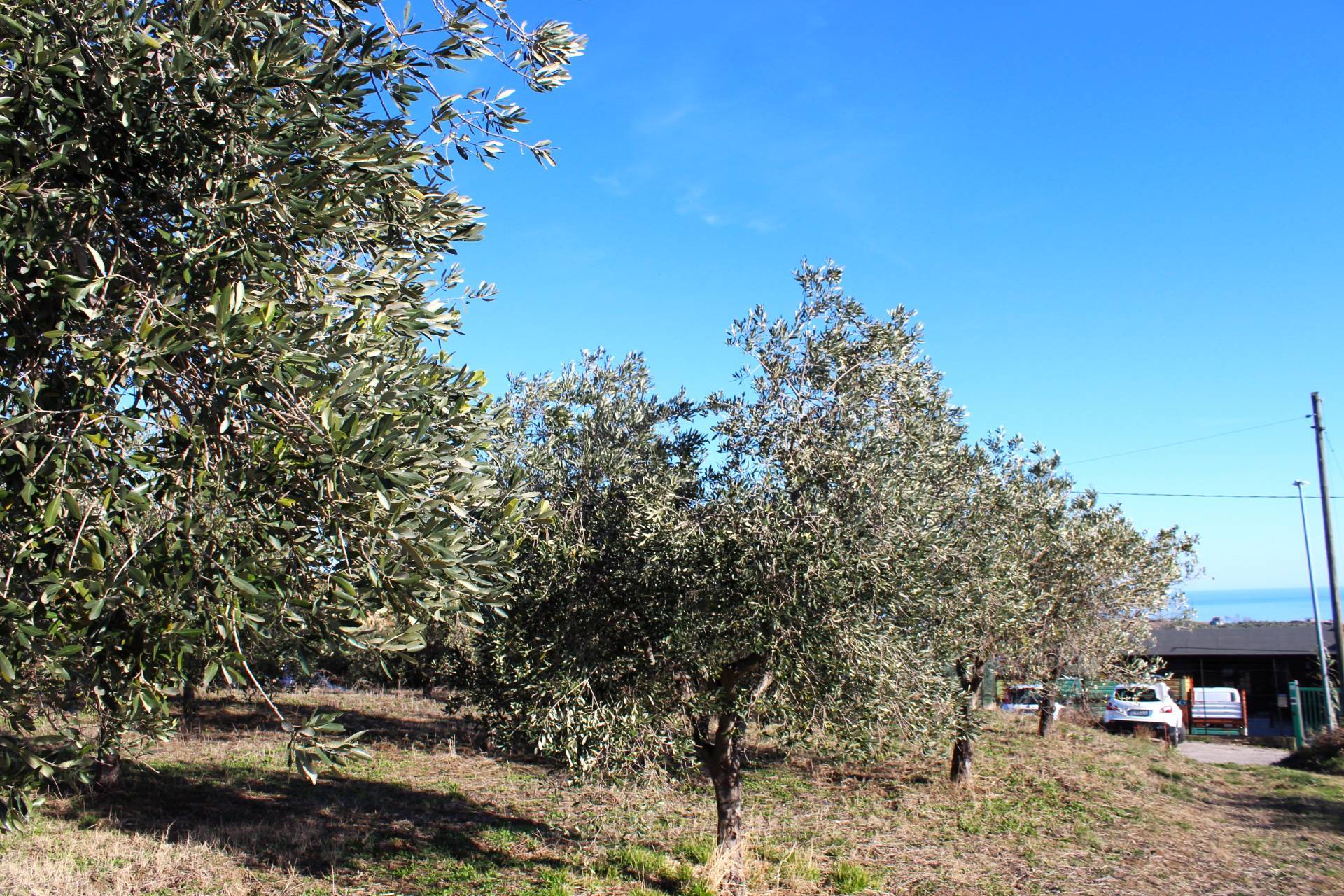Terreno edificabile in vendita a Cupello