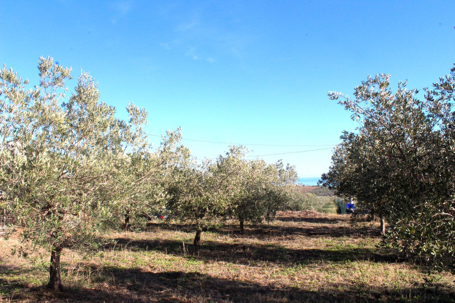 Terreno edificabile in vendita a Cupello