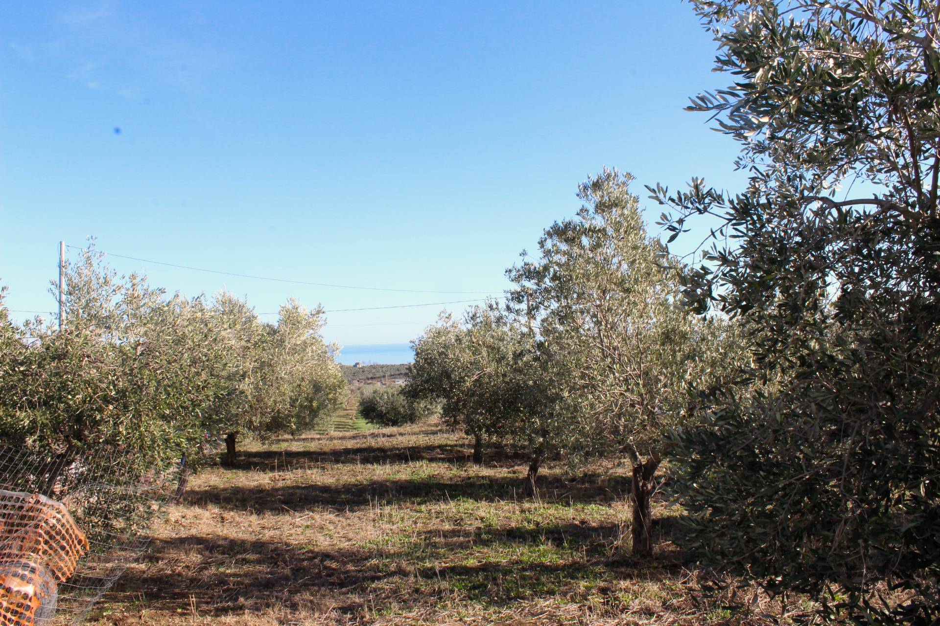 Terreno edificabile in vendita a Cupello