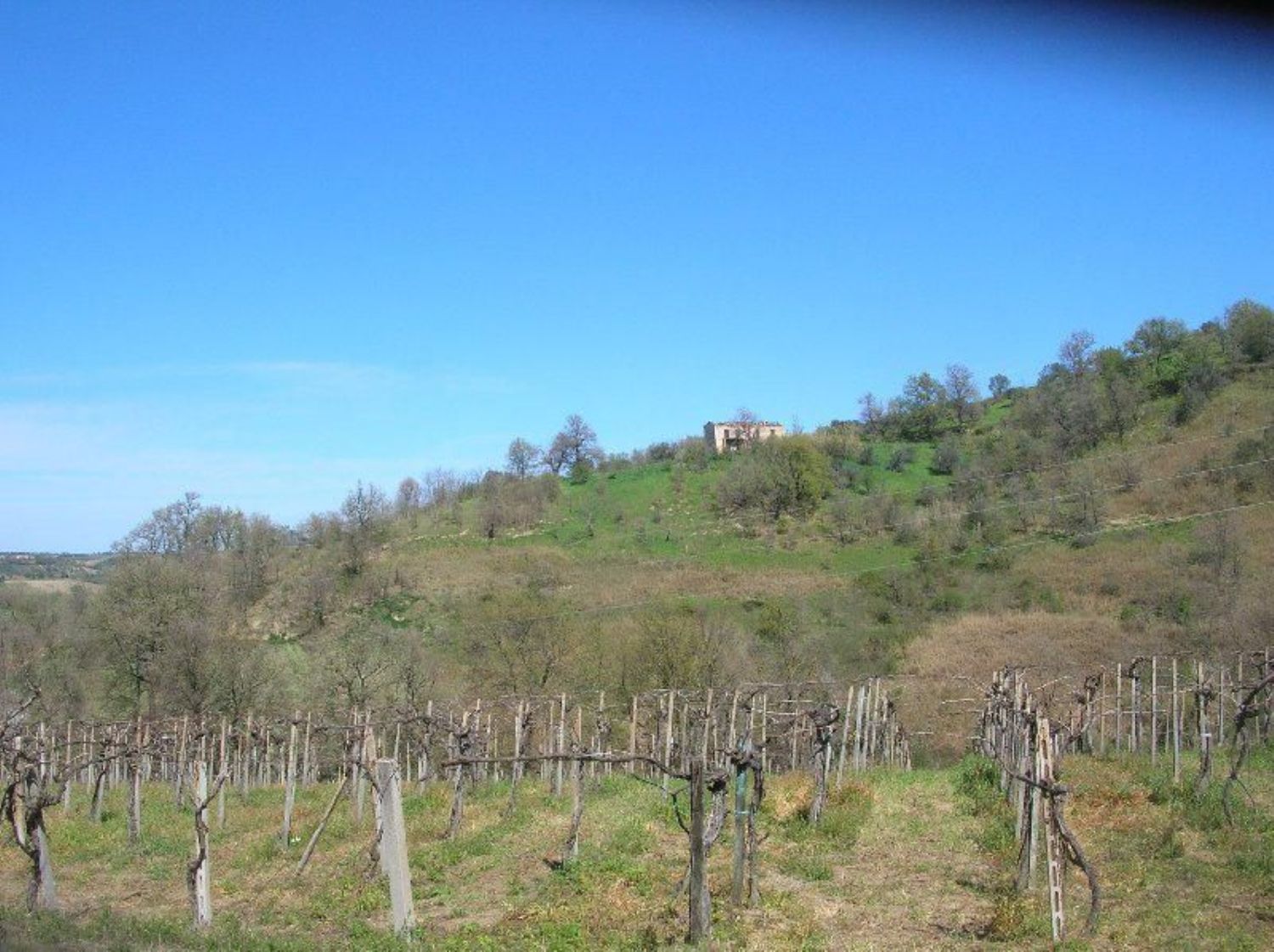 Rustico in vendita a Monteodorisio, Tratturo