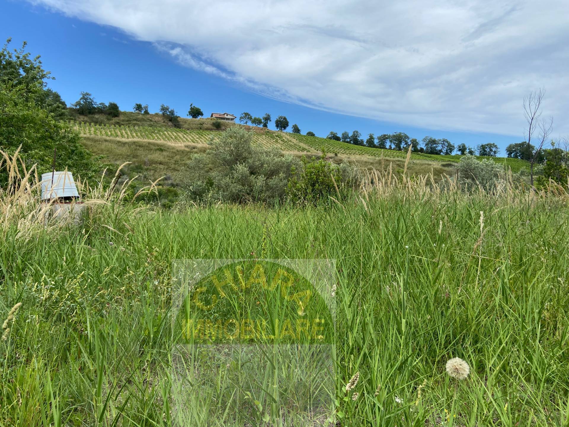 Rustico in vendita a Cupello, Strane