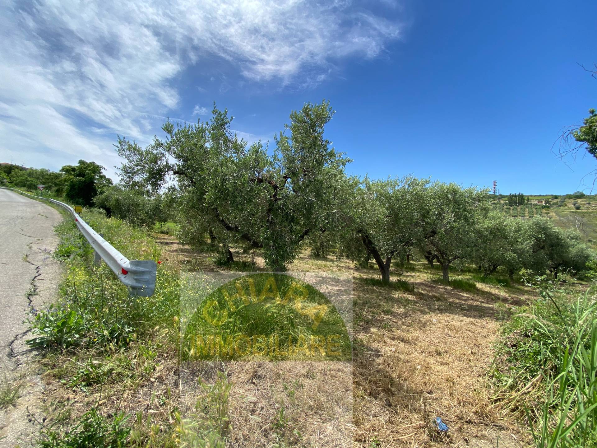 Terreno Agricolo in vendita a Cupello, Strane