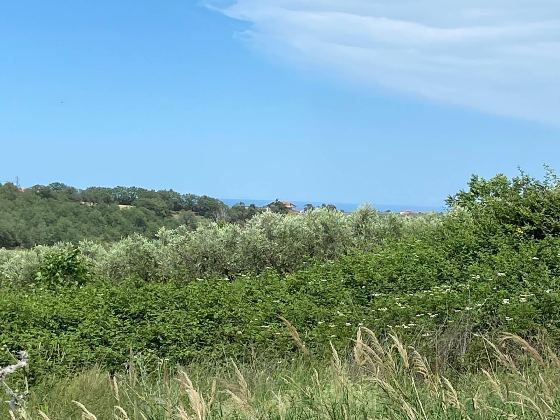 Terreno Agricolo in vendita a Cupello, Strane