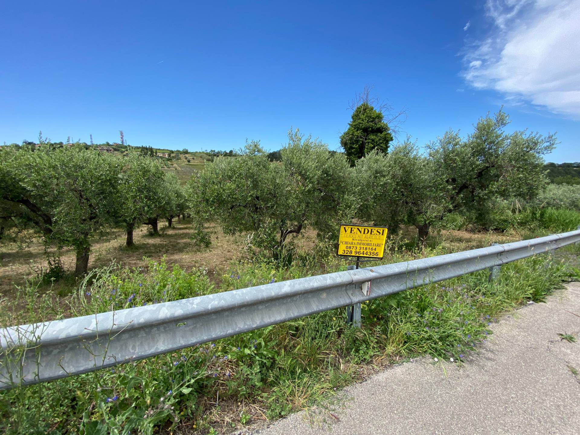 Terreno Agricolo in vendita a Cupello, Strane