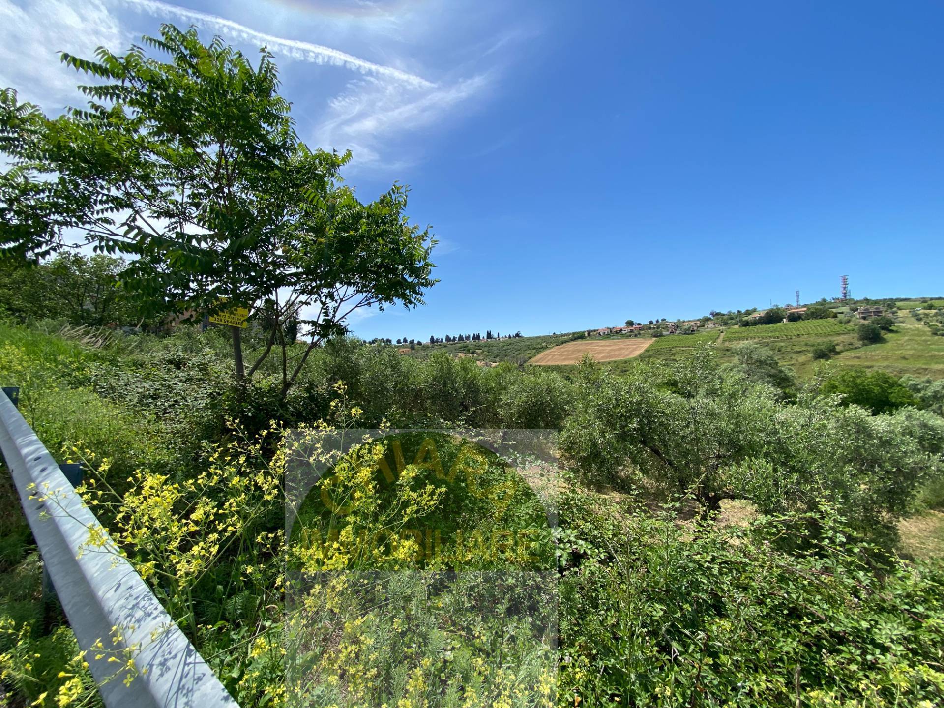 Terreno Agricolo in vendita a Cupello, Strane