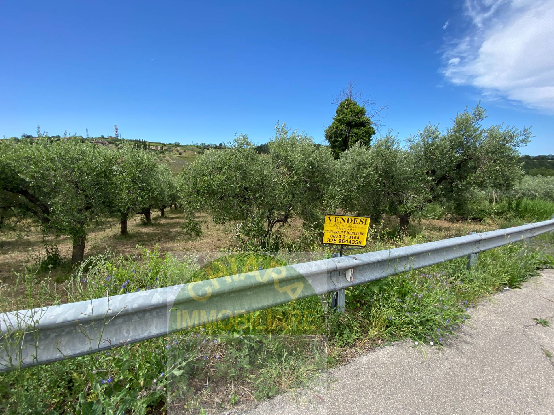 Terreno Agricolo in vendita a Cupello, Strane