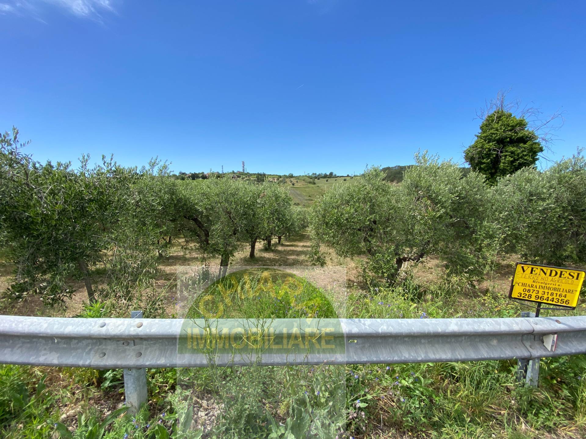 Terreno Agricolo in vendita a Cupello, Strane