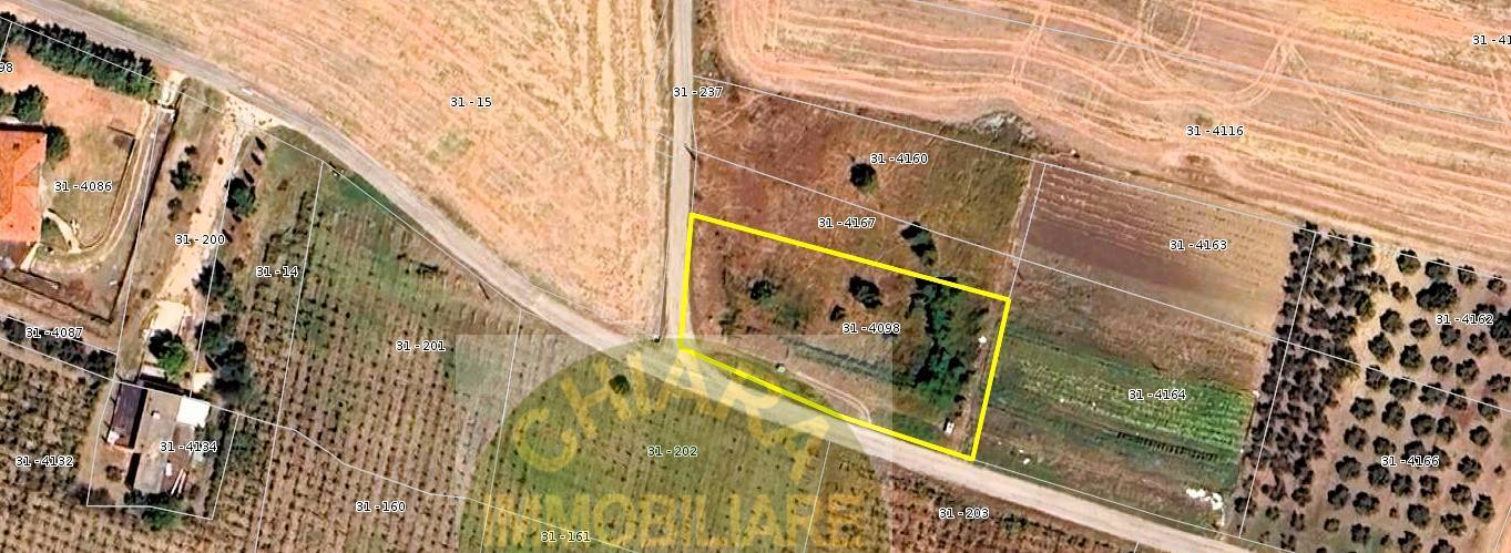 Terreno Agricolo in vendita a Cupello, Montalfano