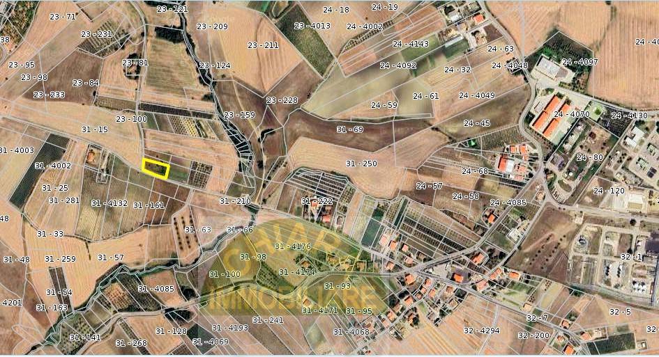 Terreno Agricolo in vendita a Cupello, Montalfano