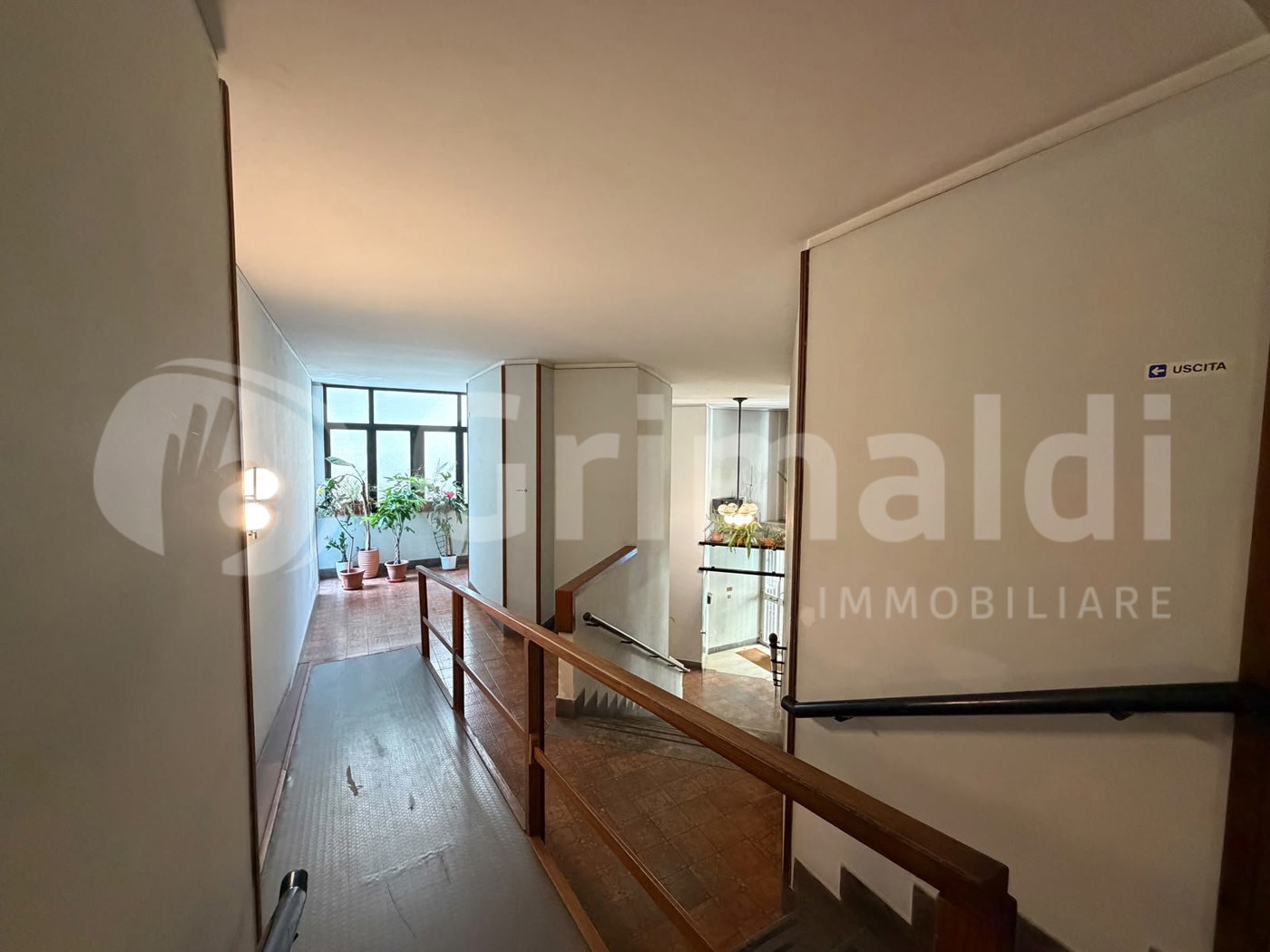 Appartamento in affitto a Palermo