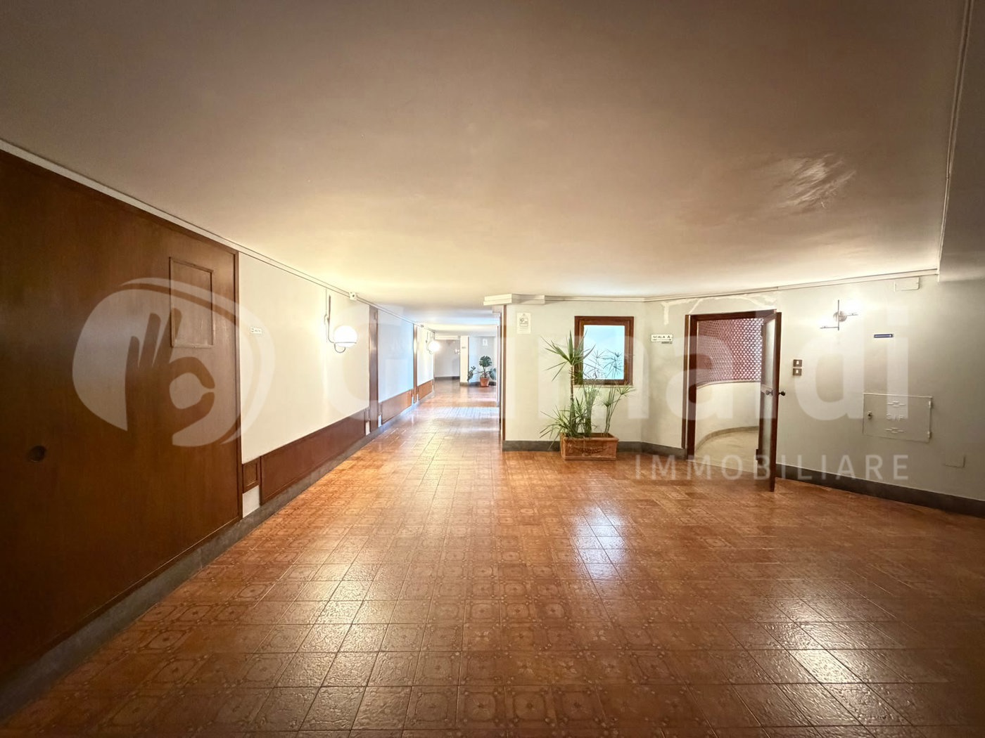 Appartamento in affitto a Palermo