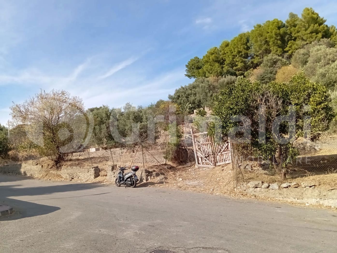 Terreno Edificabile in vendita a Nizza di Sicilia