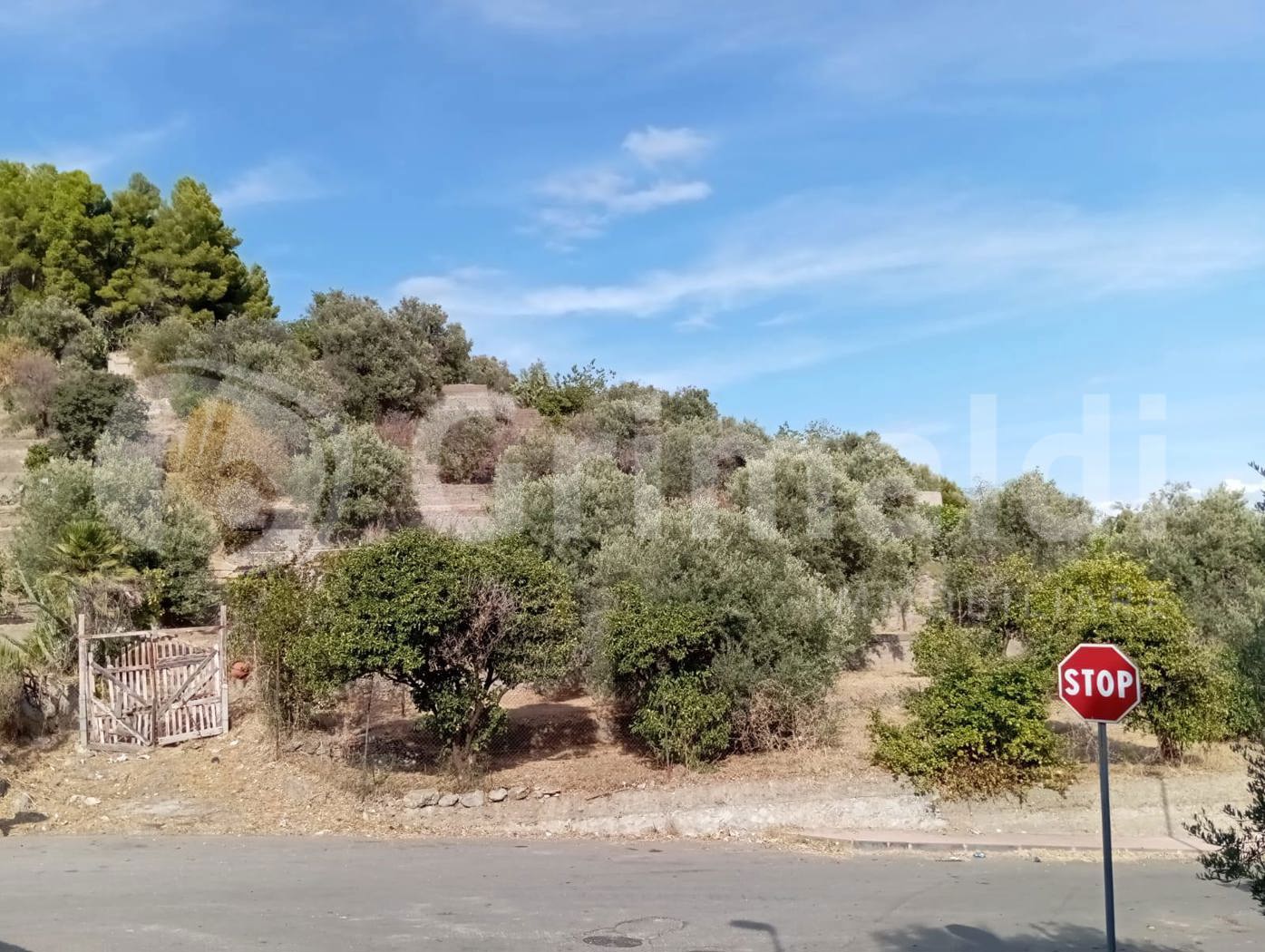 Terreno Edificabile in vendita a Nizza di Sicilia