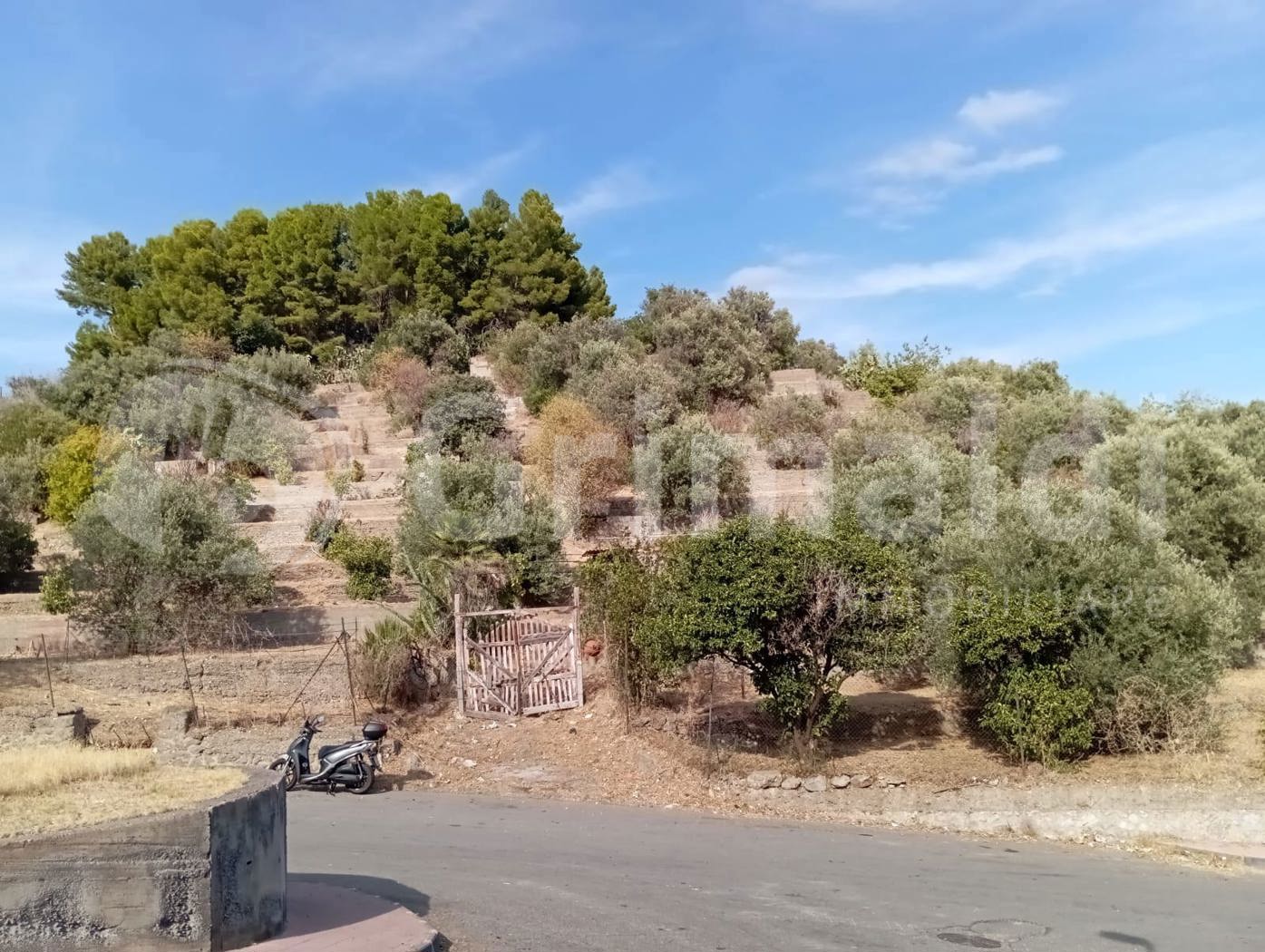 Terreno Edificabile in vendita a Nizza di Sicilia