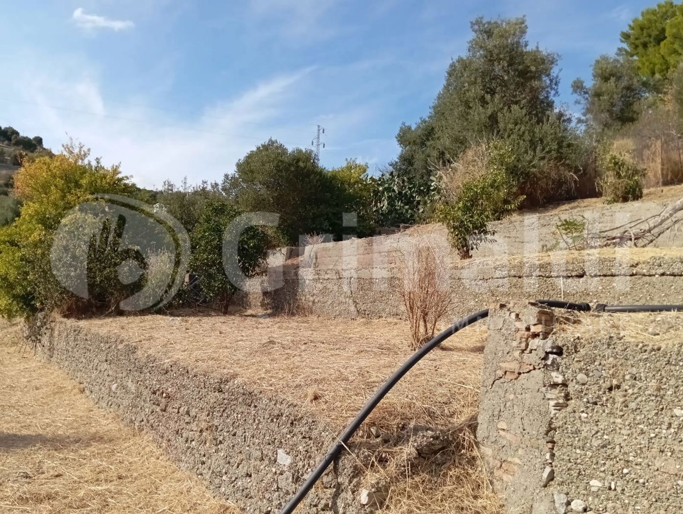 Terreno Edificabile in vendita a Nizza di Sicilia
