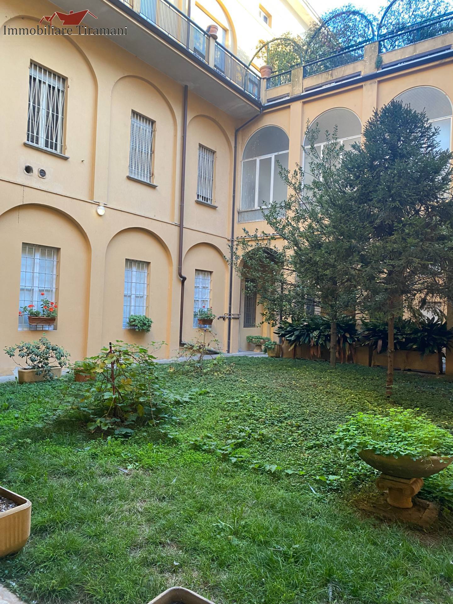 immagine annuncio 5 di 6