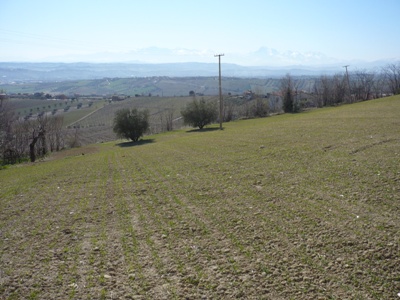 Terreno in vendita, Colonnella contrada giardino