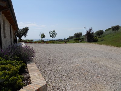 immagine annuncio 2 di 6