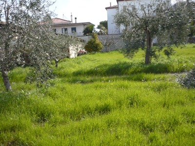 immagine annuncio 1 di 6