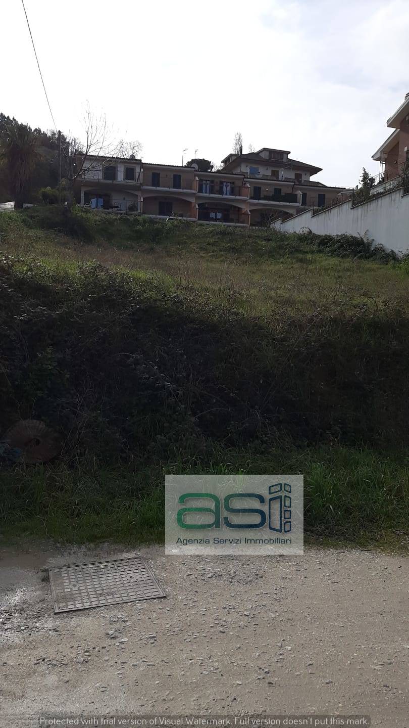 immagine annuncio 1 di 6