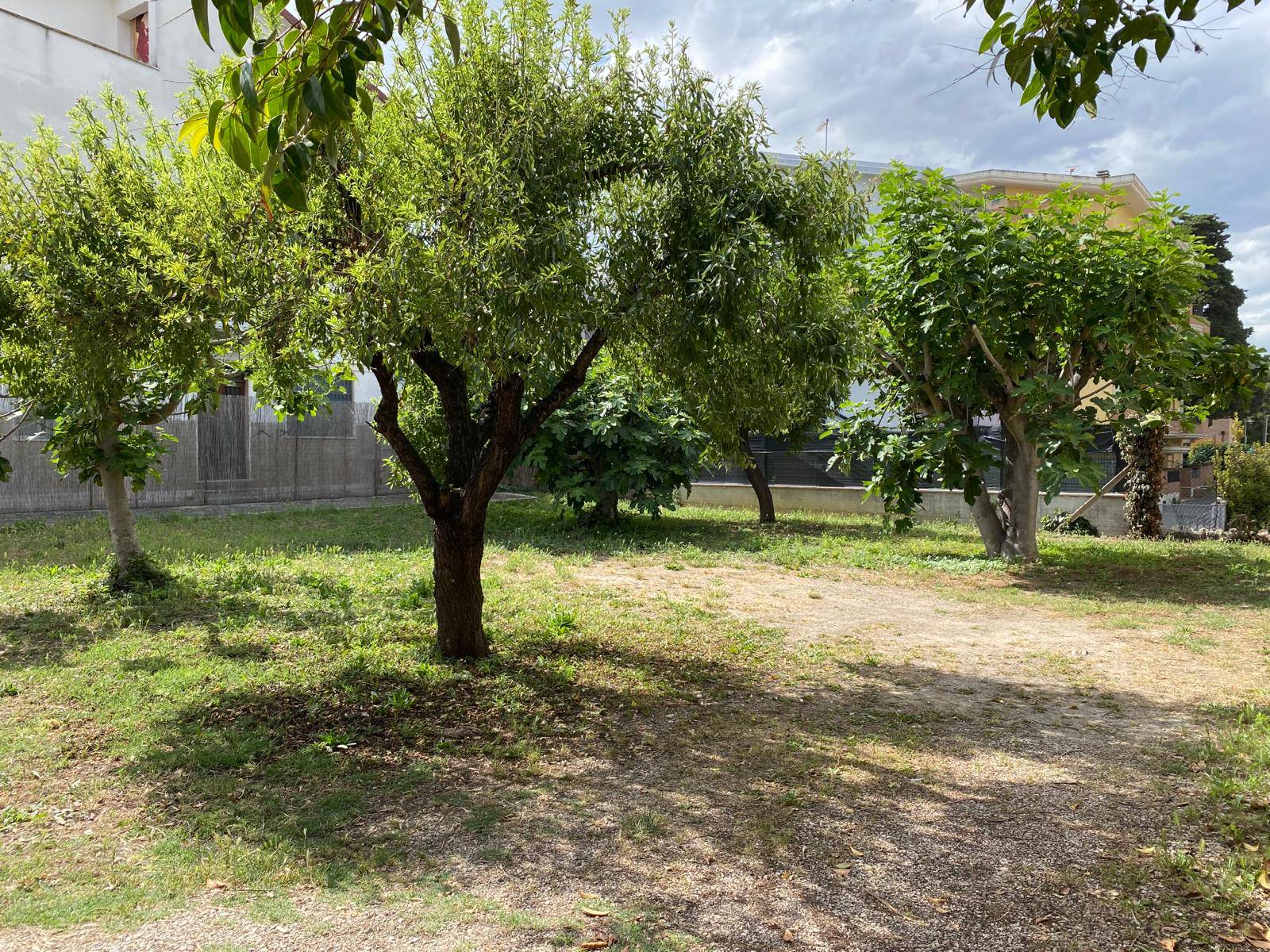 Edificabile in vendita a Alba Adriatica, centro