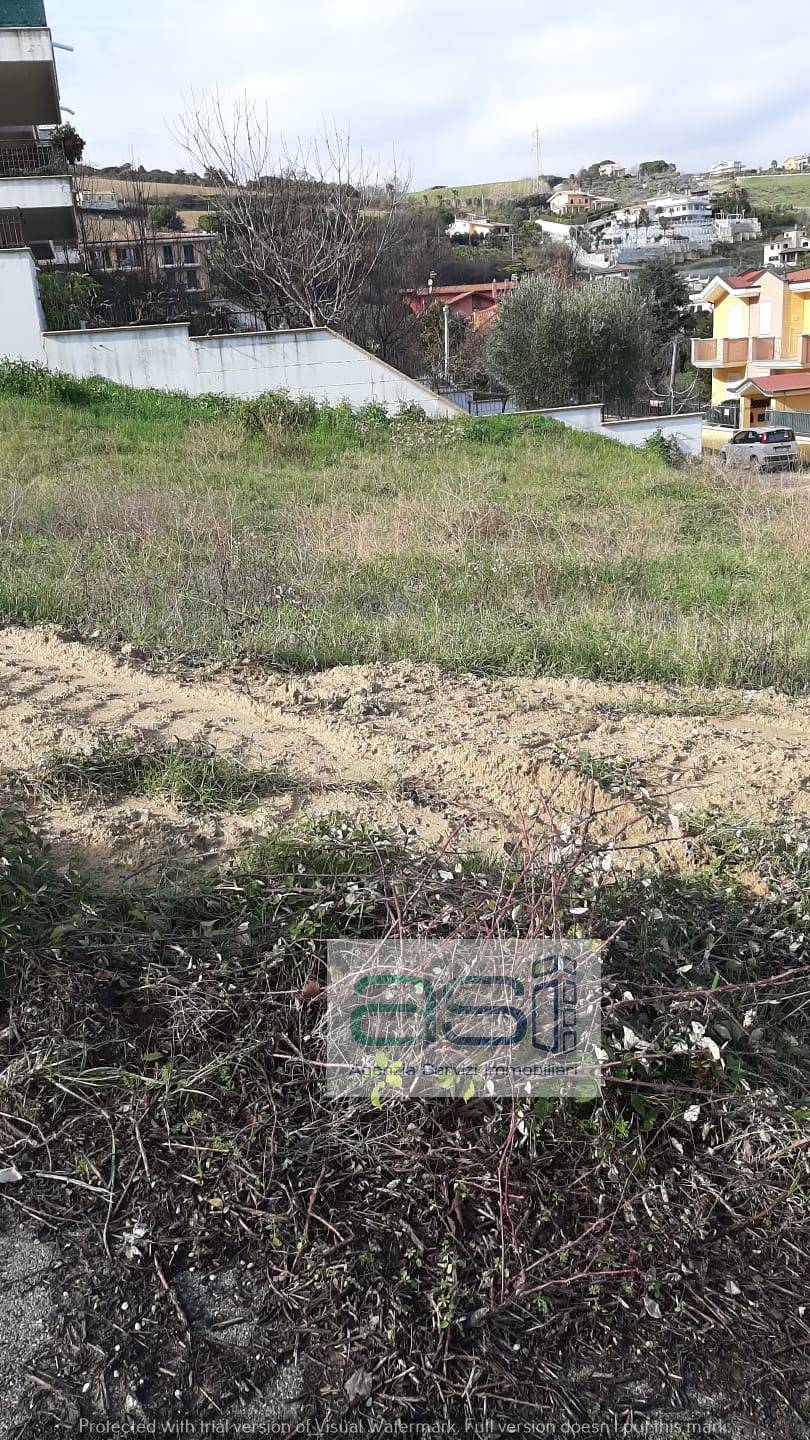 immagine annuncio 4 di 7