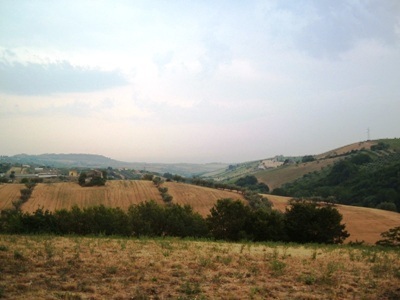 Produttivo e commerciale in vendita a Controguerra