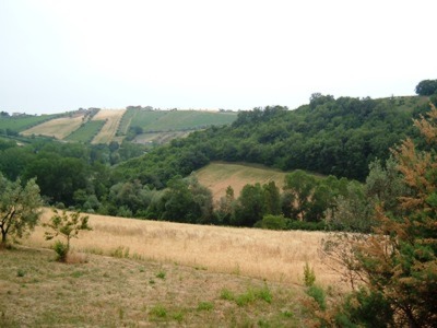 Produttivo e commerciale in vendita a Controguerra