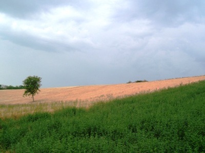 Produttivo e commerciale in vendita a Controguerra