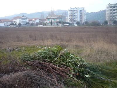 Edificabile in vendita a Alba Adriatica