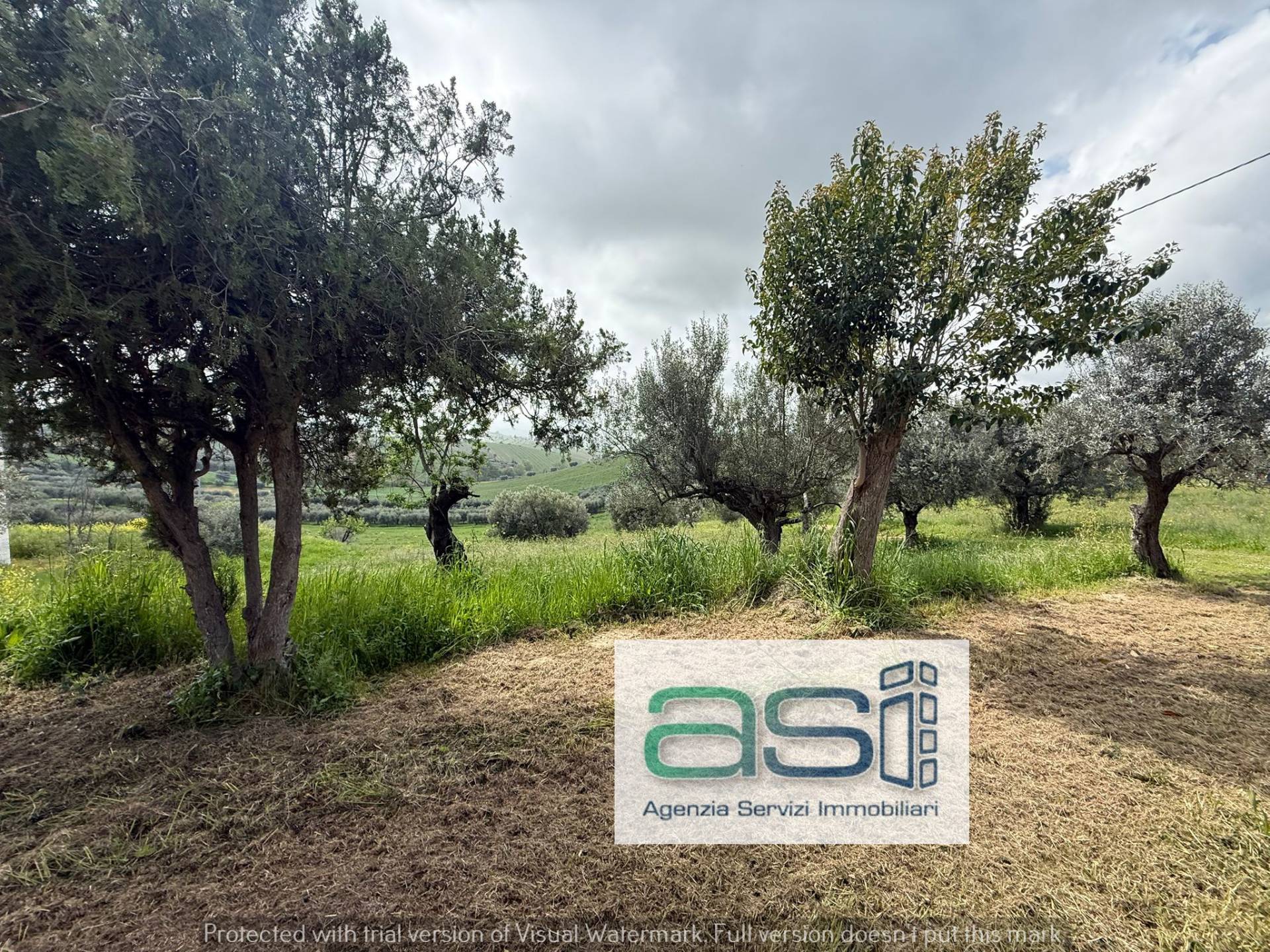 Casa singola in vendita a Controguerra, Via San Rocco