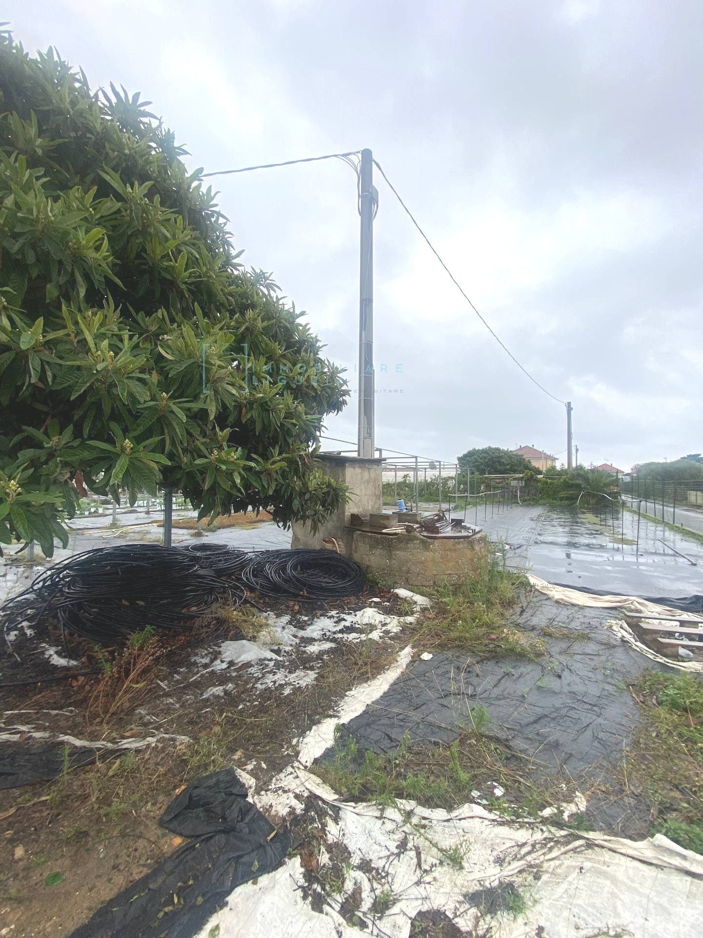 Terreno in vendita, Albenga campochiesa