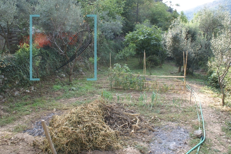 immagine annuncio 5 di 6